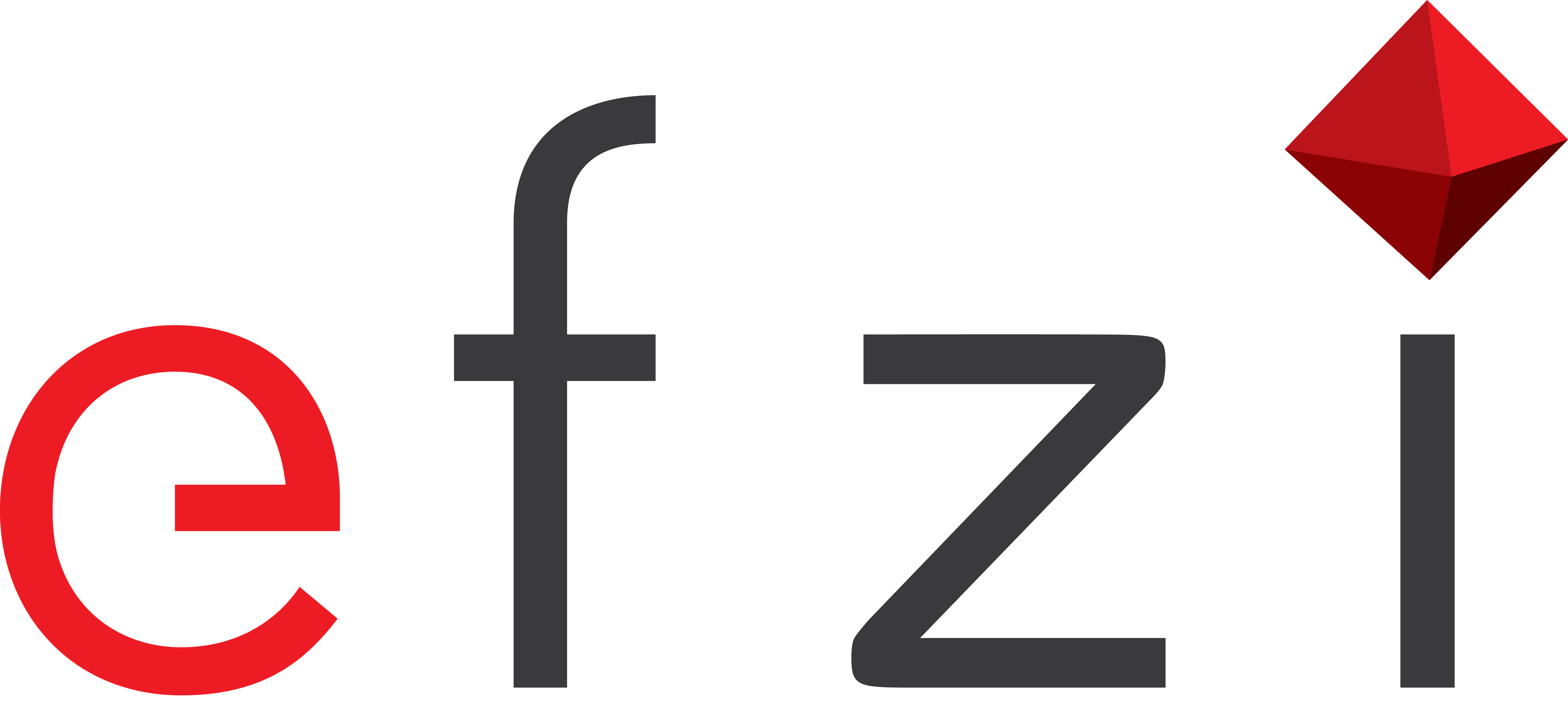 EFZI